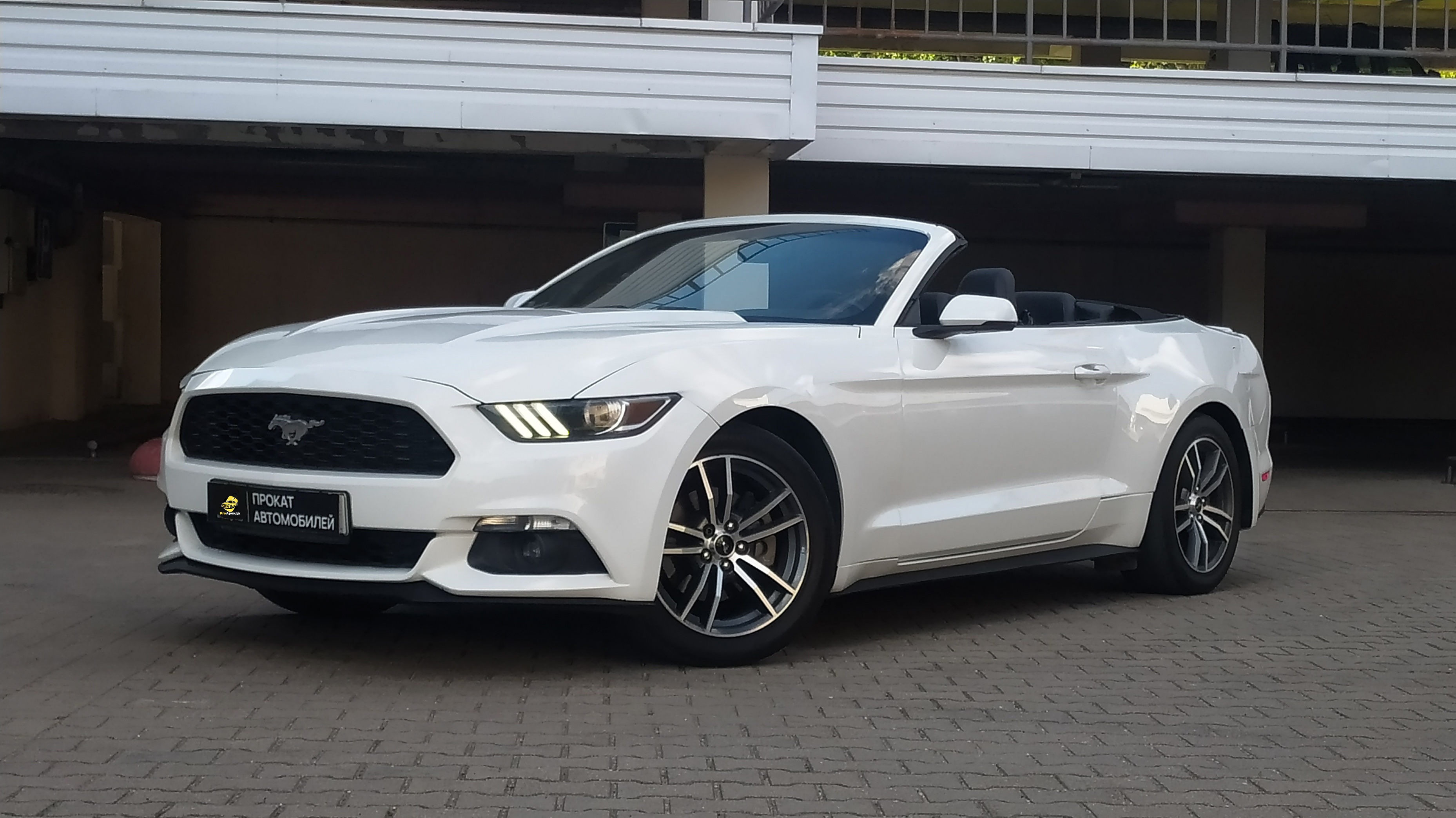 Ford Mustang Cabrio фото 1