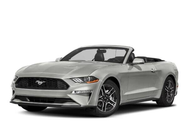 Взять на прокат Кабриолет Ford Mustang Cabrio Silver